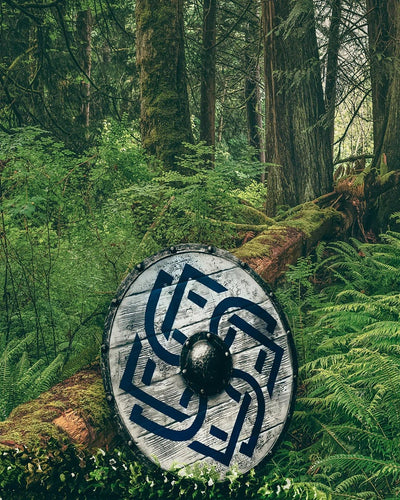 Bouclier Viking - Asgarn-HERITAGE VIKING